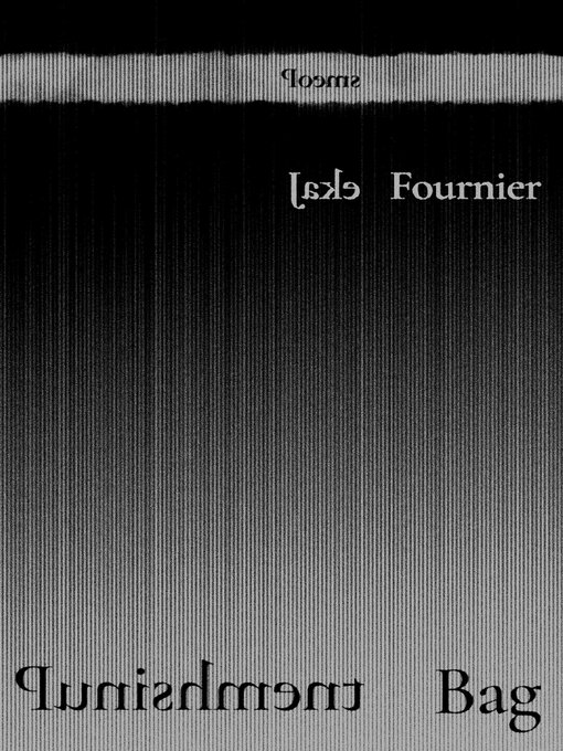 Title details for Punishment Bag by Jake Fournier - Available